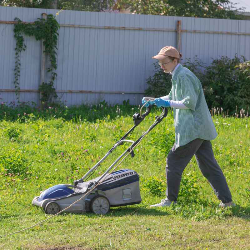 How Lawn Fertilization Works