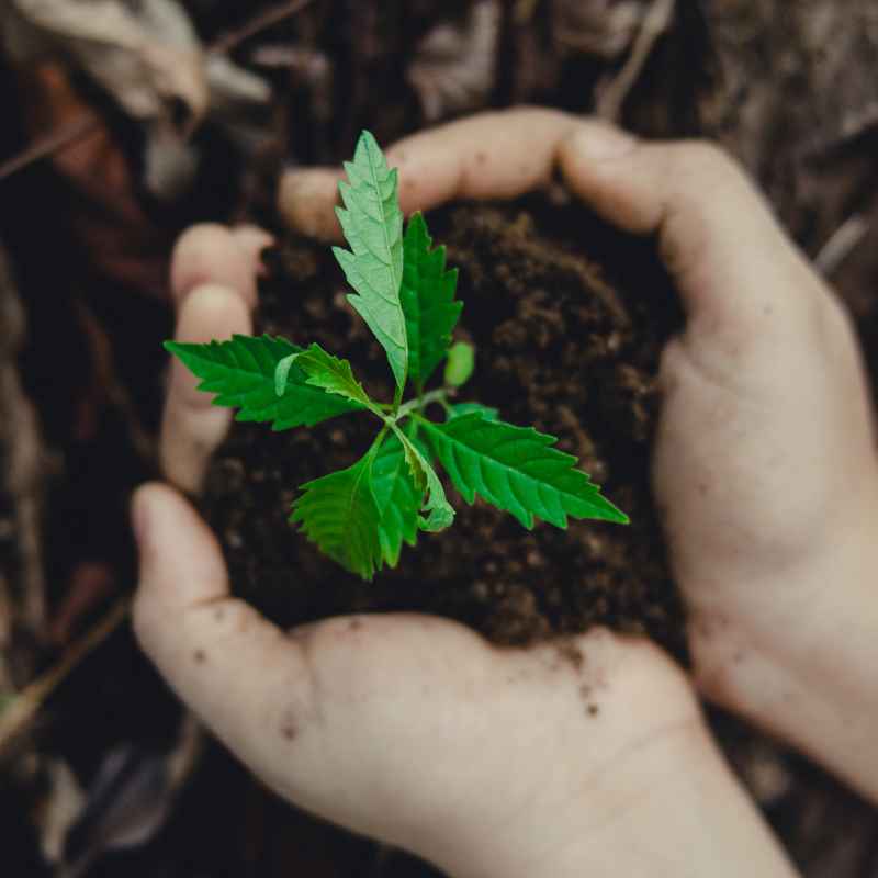 How to Choose Renewable Resources in Daily Life