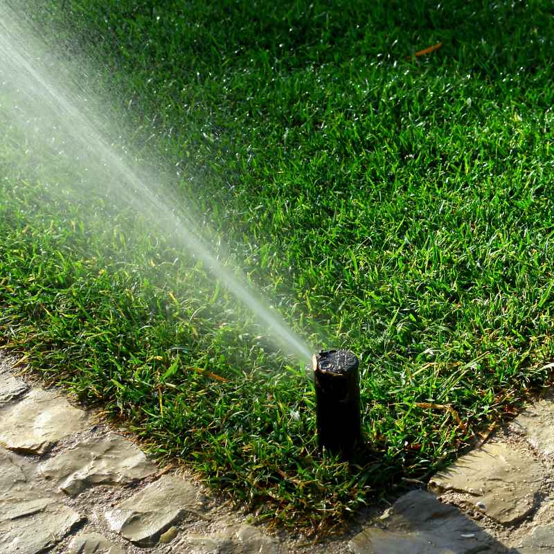 How to Test and Fine-Tune Your Irrigation Schedule