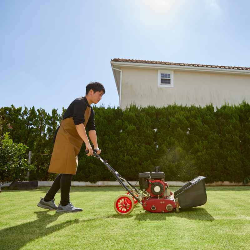 Practical Tips For A Thriving Lawn
