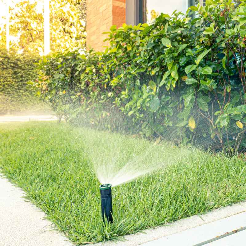 Practical Ways To Save Water
