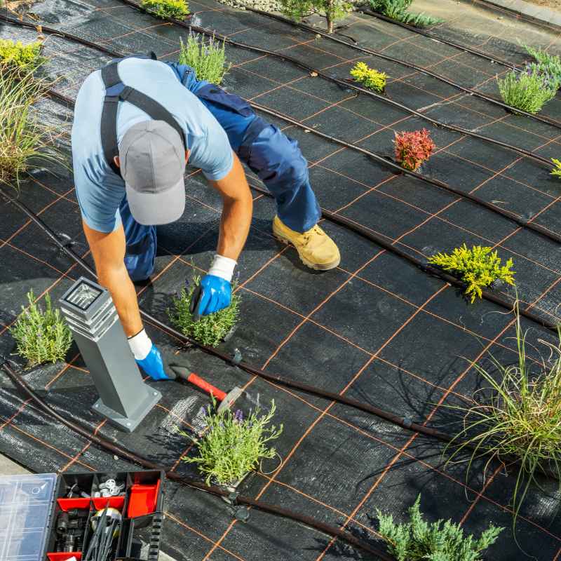 Quick Fixes and Tips for Better Reach