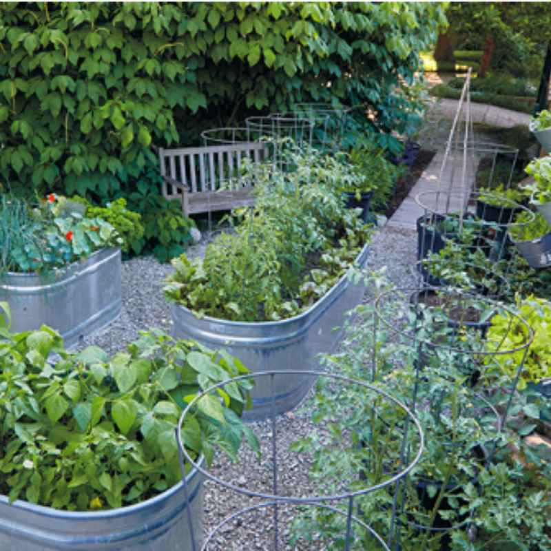 Quick Fixes and Tips for Existing Gardens