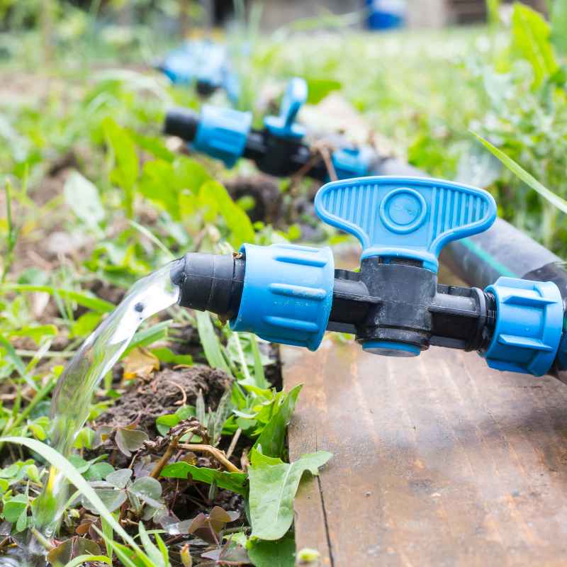 Quick Tips for Efficient Drip Watering