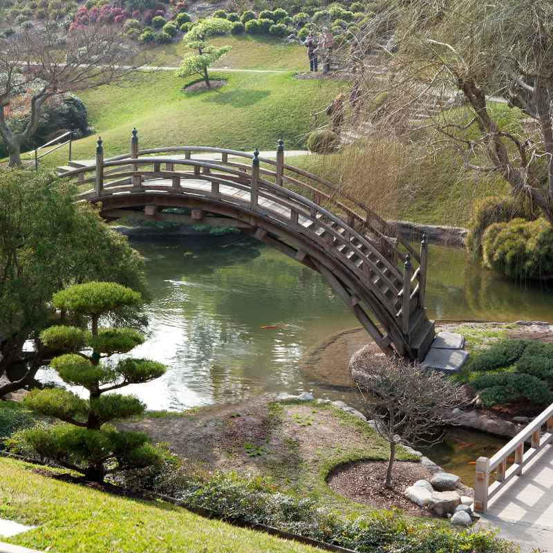 Quick Tips for Home Gardeners Inspired by the Huntington