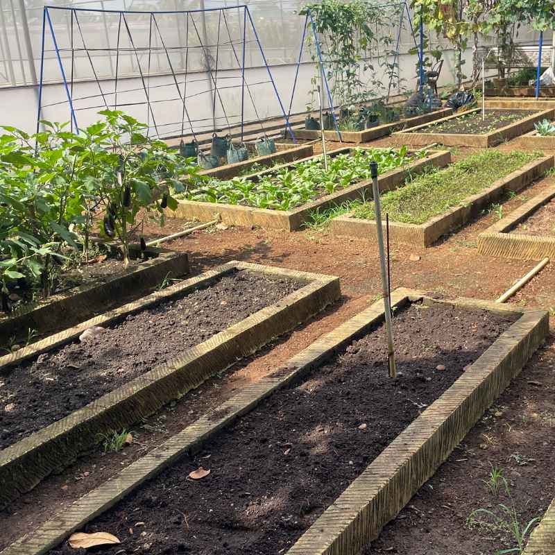 Quick Tips for Your 4x4 Companion Garden