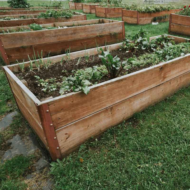 Quick Tips for a Better Planting