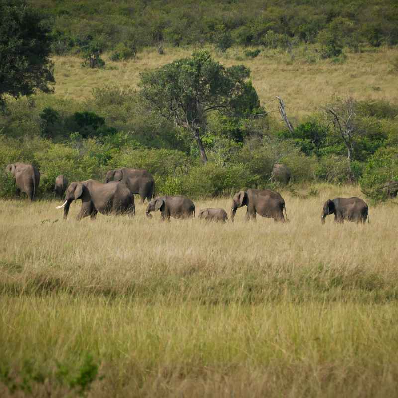 The Dry Season Challenge