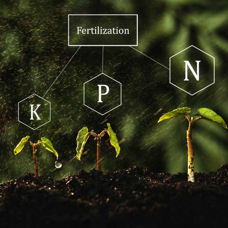 The Future of Nitrogen Management