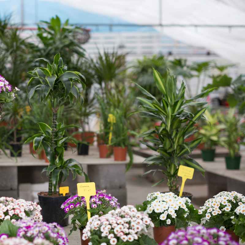 The Identity Of Kosher Gardens Allentown’s Plant Manager