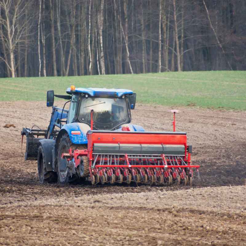 Understanding Hemp Seed Characteristics