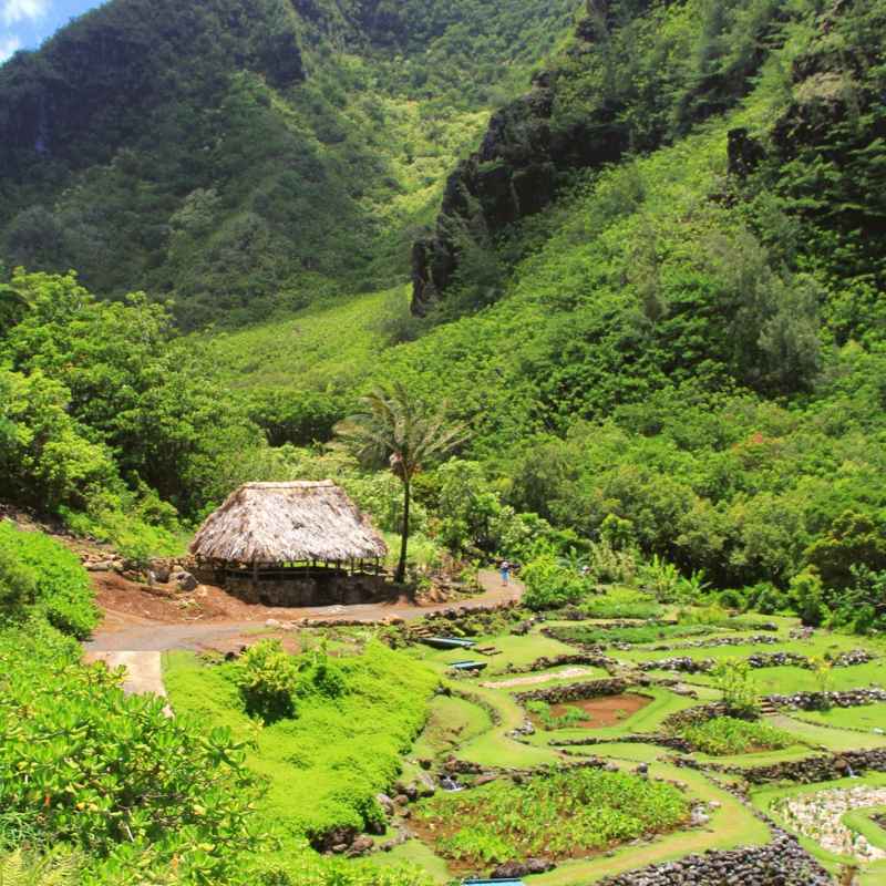Understanding Kauai Botanical Gardens Holiday Hours