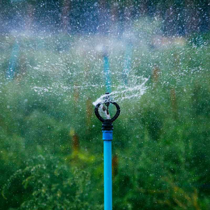 Understanding The Rain Bird Controller