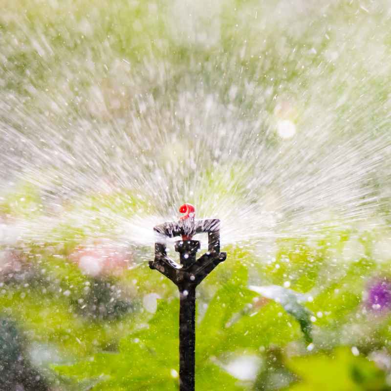 Understanding Your Arduino Automatic Watering System