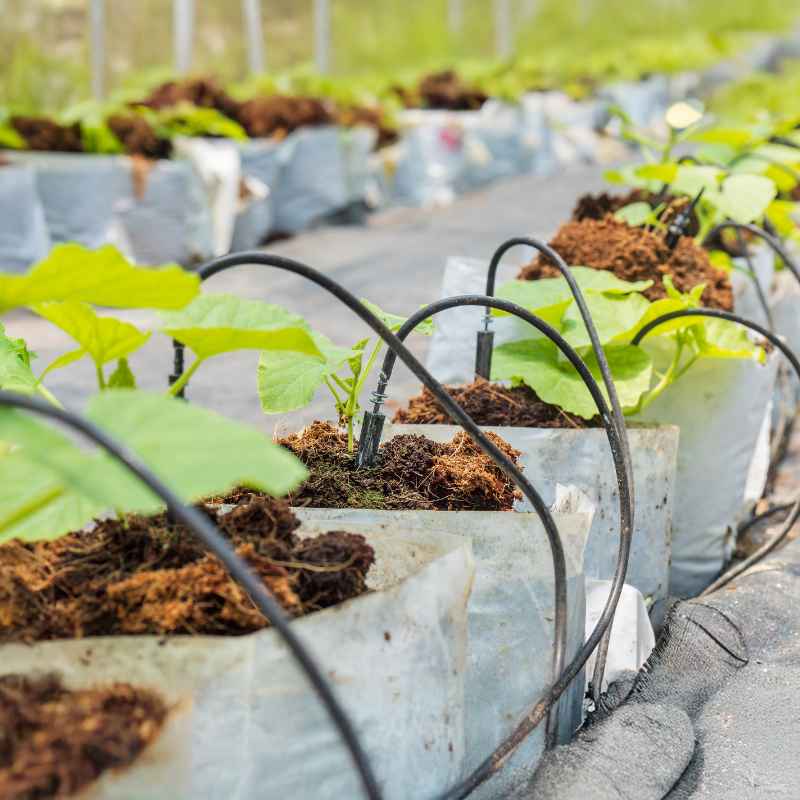 Understanding Your Drip Irrigation System Basics