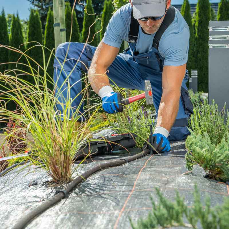 Understanding Your Drip System's Reach