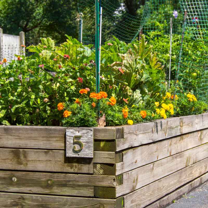 Understanding Your Raised Garden Bed
