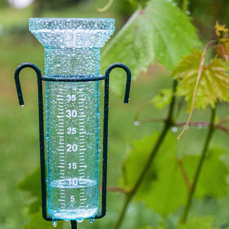 Understanding Your Self-Watering Gauge