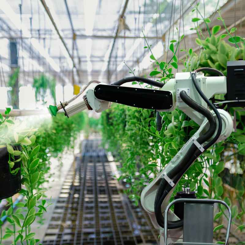 What Are Automatic Irrigation Robots?