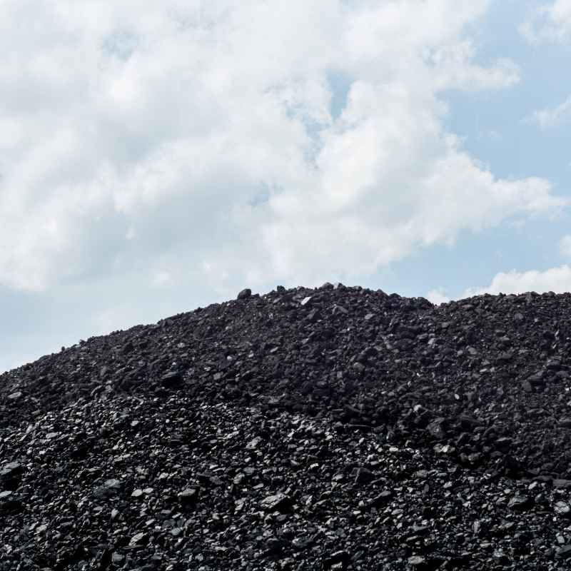 What Are Renewable and Nonrenewable Resources?