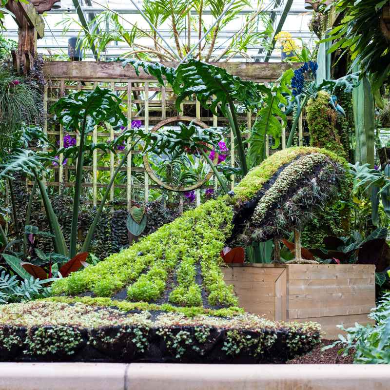 What Exactly Is a Dog Grass Hortisculpture?