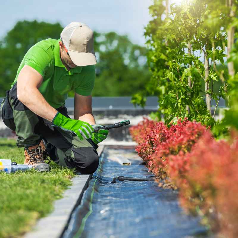 How Is Drip Irrigation Subsidy Calculated for New Installs