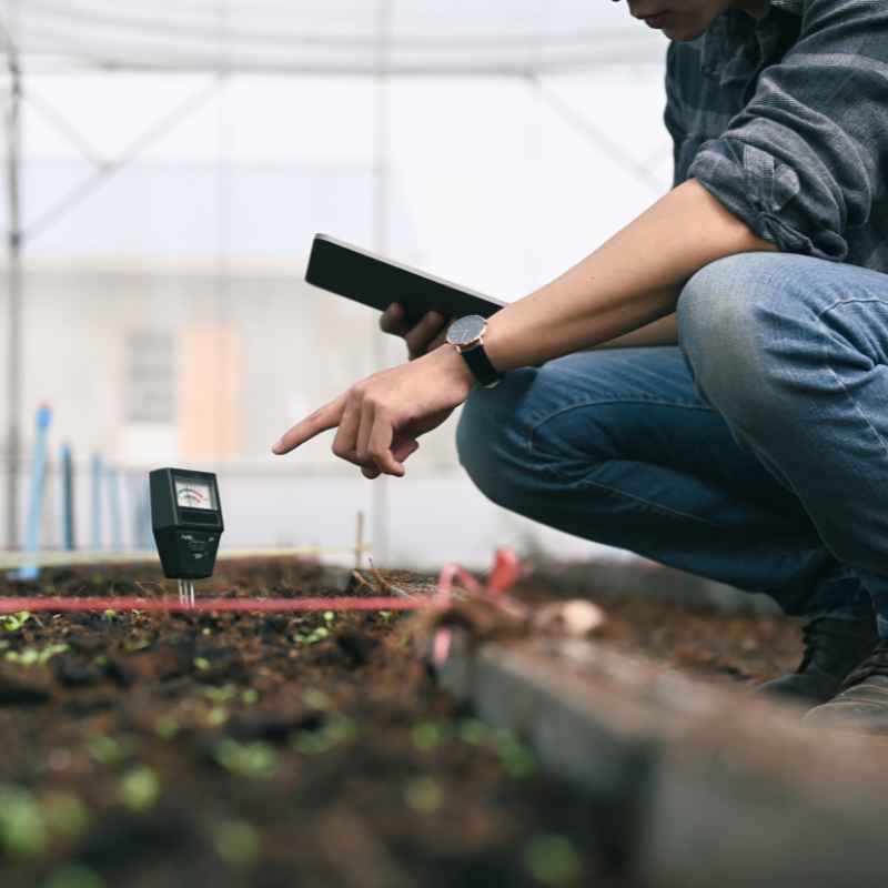 What Is Drip Irrigation?