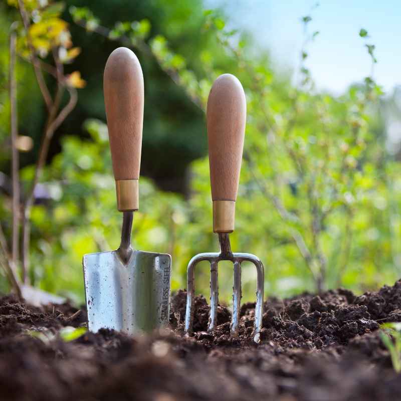 What Is the Best Soil for Vegetable Container Gardening