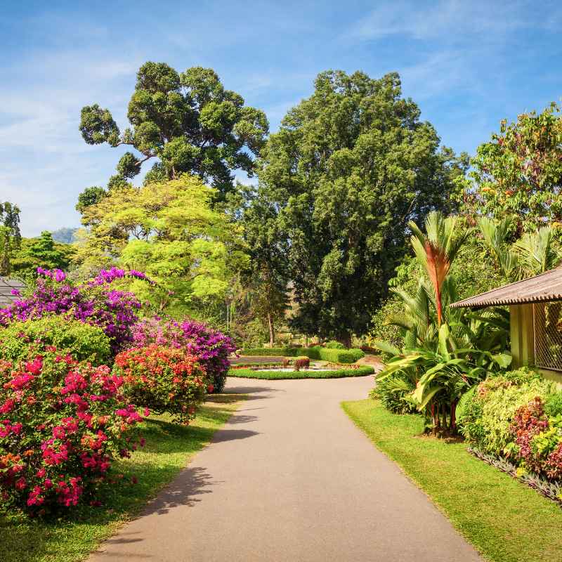 When Is The Next Fest Of Ale At Missouri Botanical Gardens?
