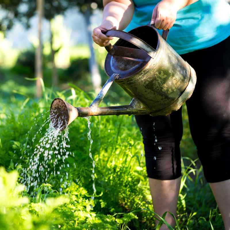 What is Triazicide and How Does It Work?