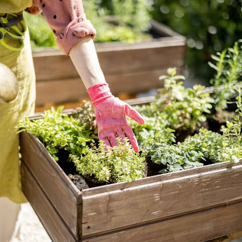 Understanding Squirrel Behavior for Gardeners