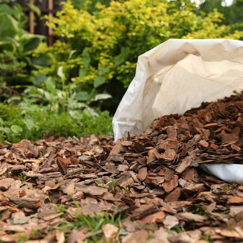 What is Redwood Mulch and Where Does It Come From?
