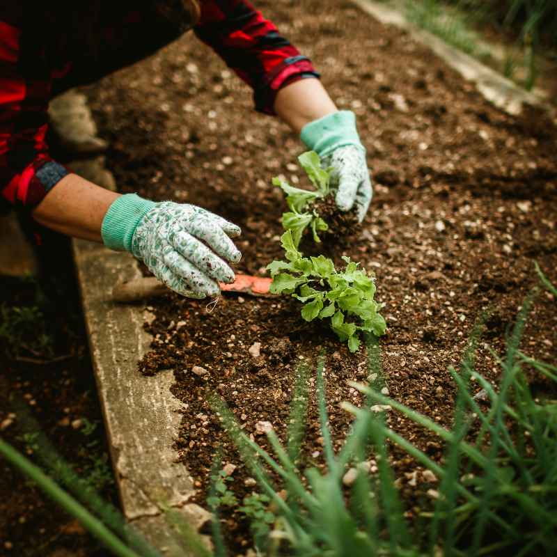 What is Sandy Soil and Why Amend It?