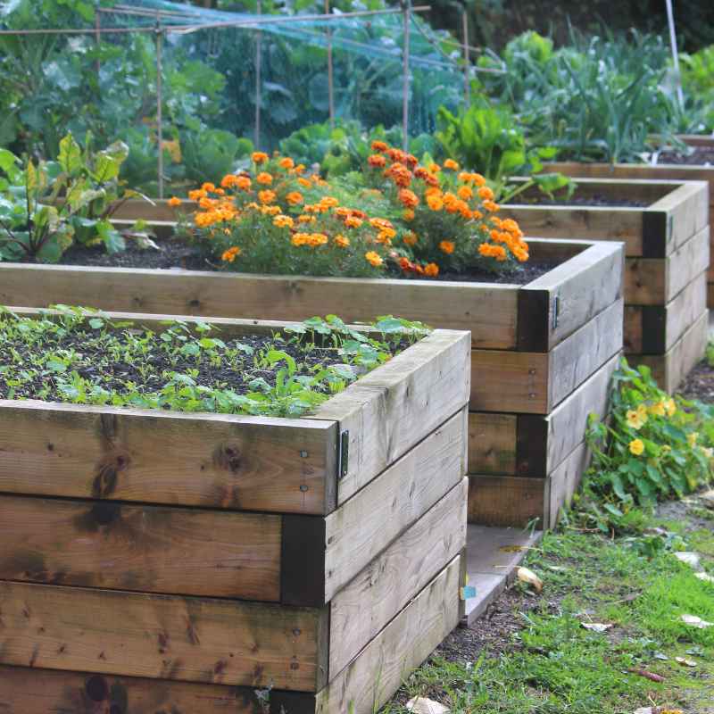 Why Container Size Matters for Your Vegetables
