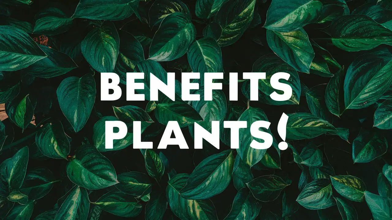 What are the Benefits of Indoor Plants in the Hospitality Industry?  Boosting Ambiance & Guest Satisfaction