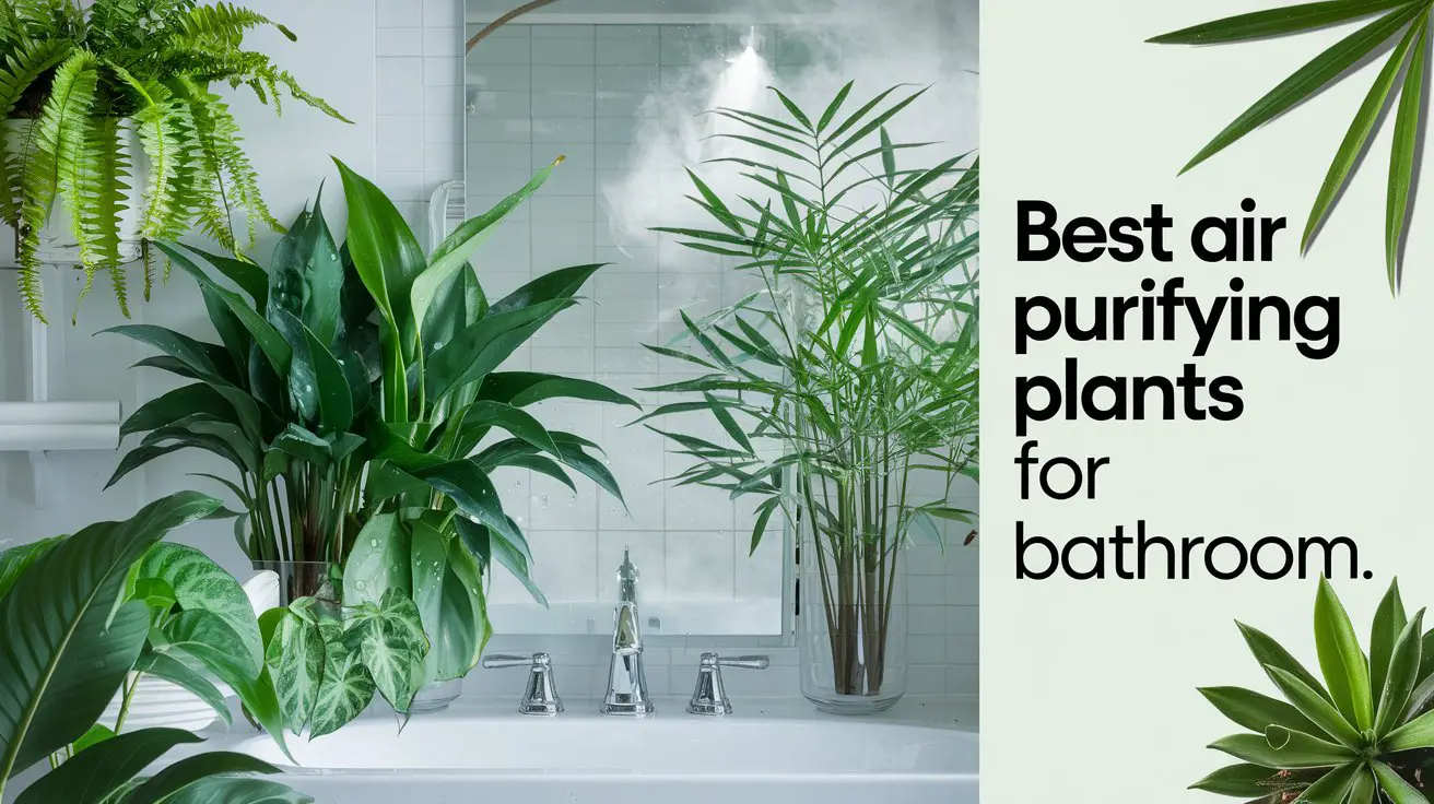 Best Air Purifying Plants for Bathroom: Freshen Up Your Space