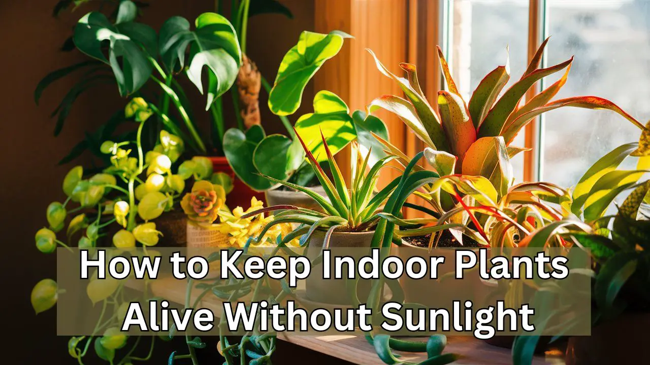 How to Keep Indoor Plants Alive Without Sunlight: Thrive Guide