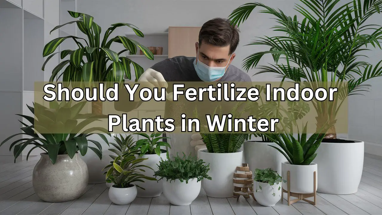 Should You Fertilize Indoor Plants in The Winter? Unveil the Truth!