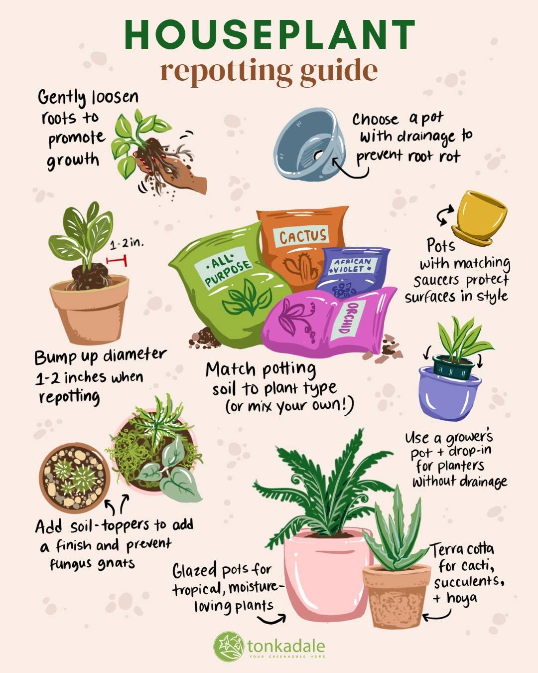 How Do You Know When to Repot an Indoor Plant