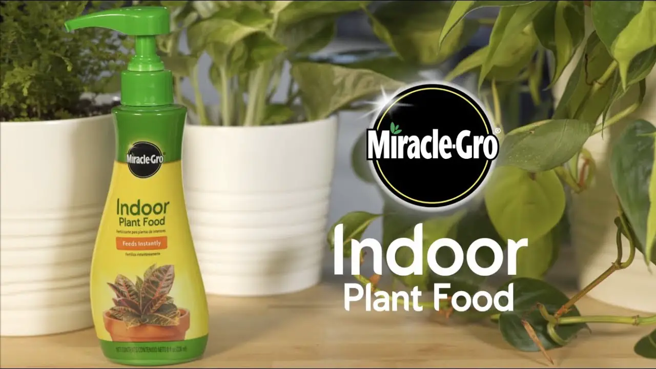 How Often Should You Use Miracle Gro Indoor Plant Food: Optimal Feeding Secrets