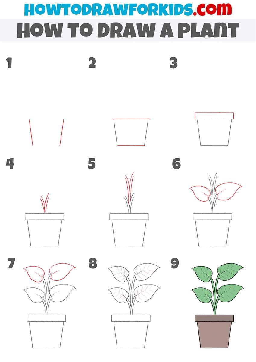 How to Draw a House Plant Step by Step: Easy Guide for Beginners