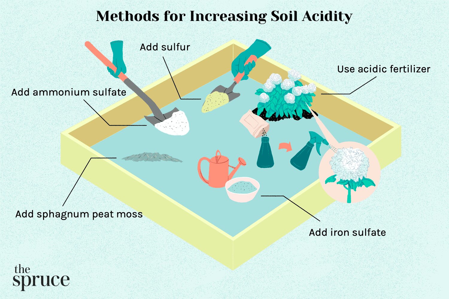 How to Make House Plant Soil More Acidic