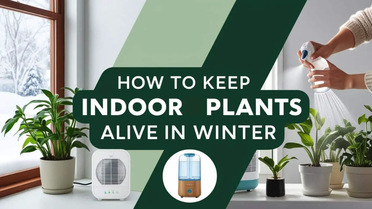 How to Keep Indoor Plants Alive in Winter: Thrive Tips