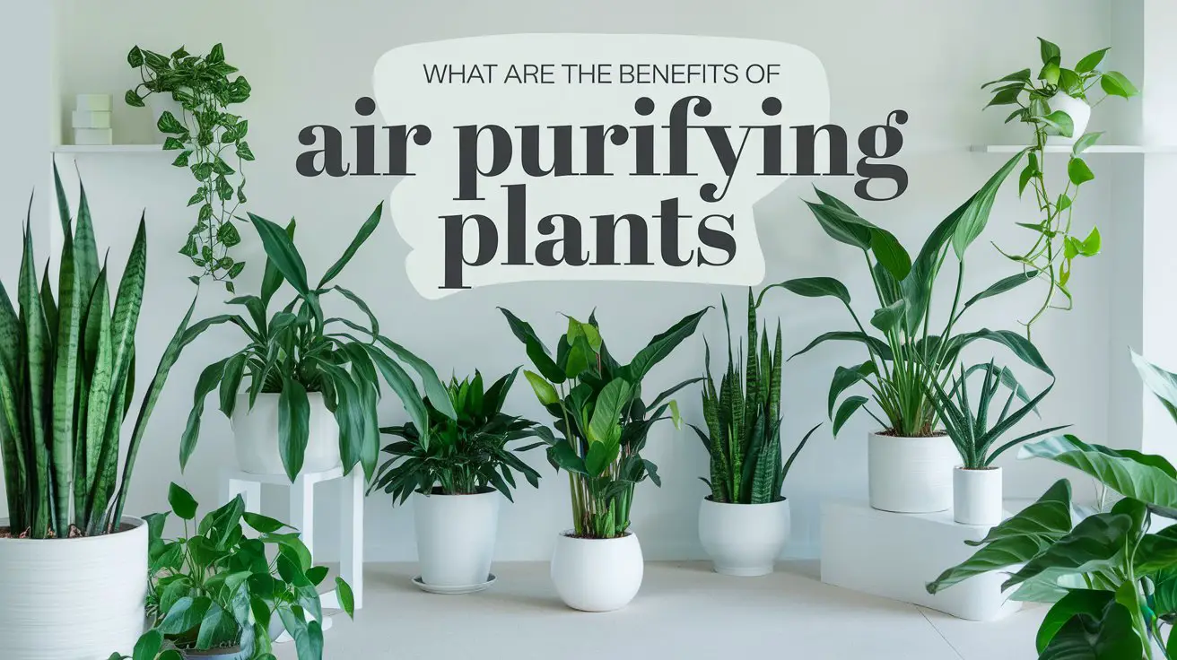 What are the Benefits of Air Purifying Plants: Health & Wellness Boost