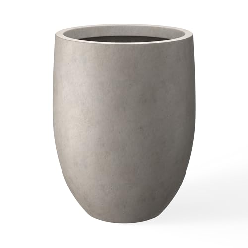 Best Planter for Stylish Home and Garden Décor