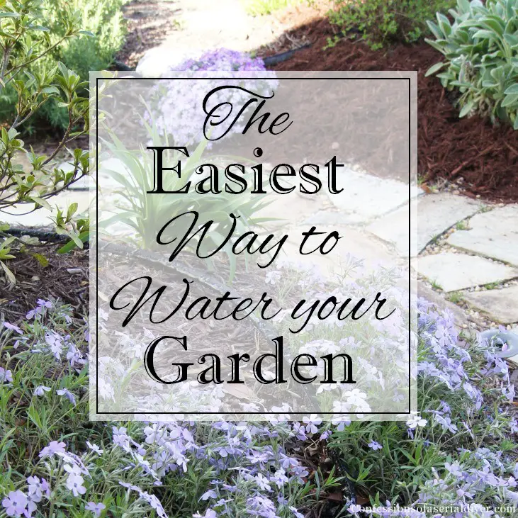 Best Way to Water Garden: Ultimate Guide for Lush Growth