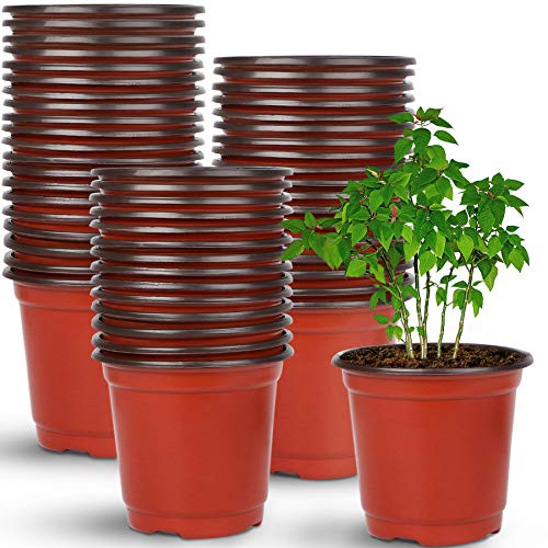 Cheap Plant Pots for Sale