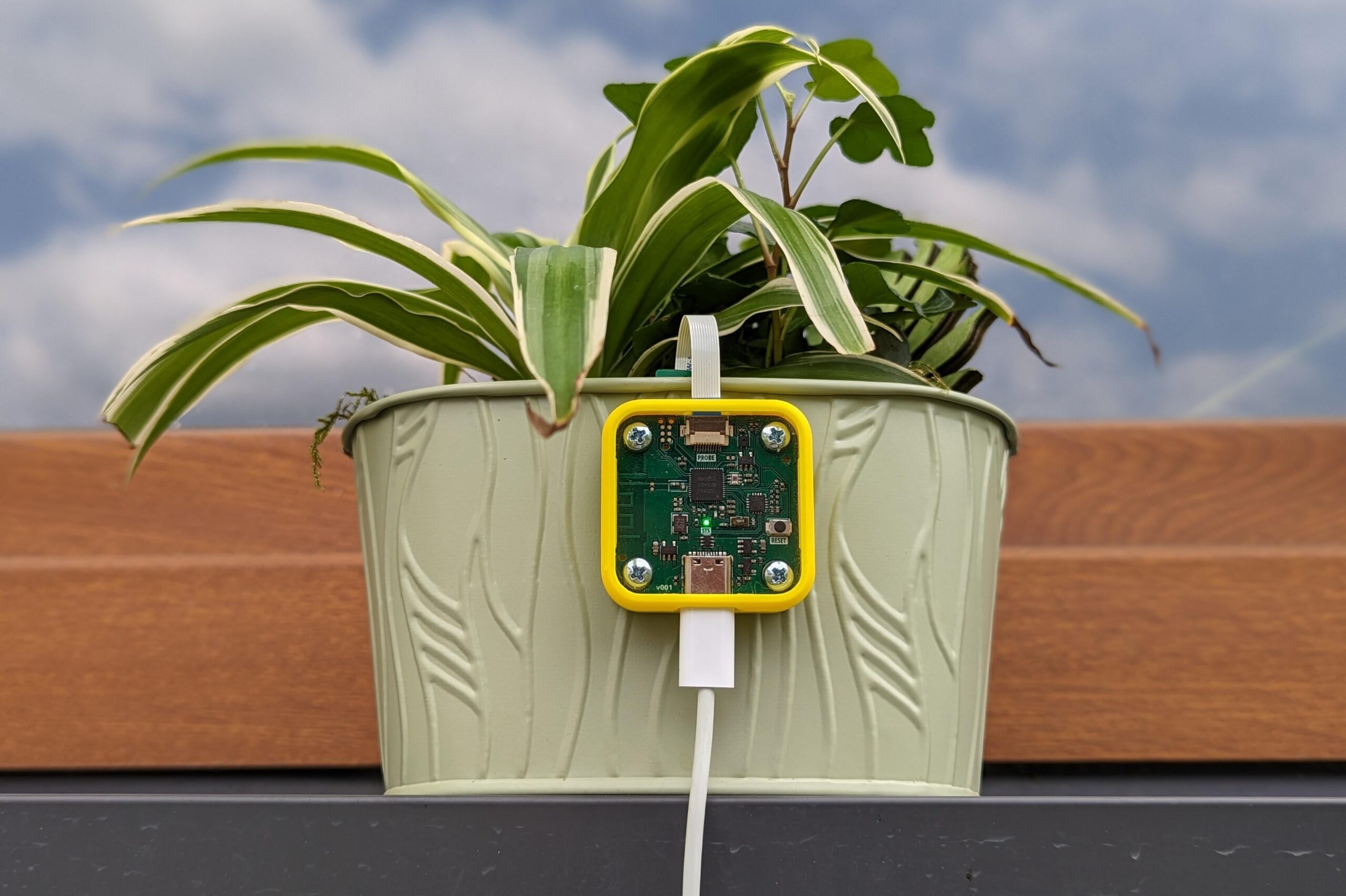 How to Monitor Plant Health: Essential Tips and Tools