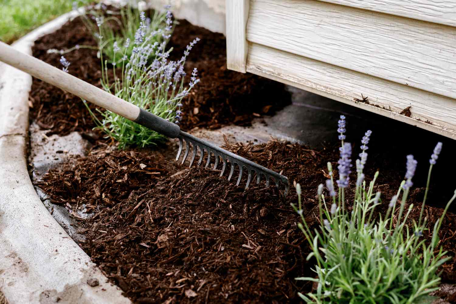 How to Use Mulch in Your Garden: Boost Growth & Save Time