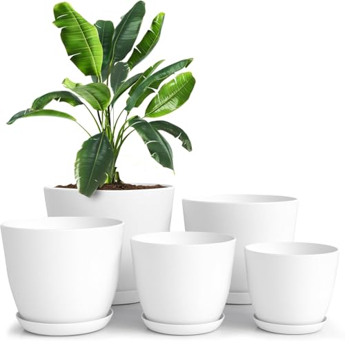 Pots for House Plants